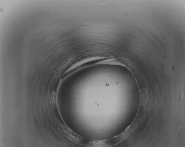 X0000063490093200601271731