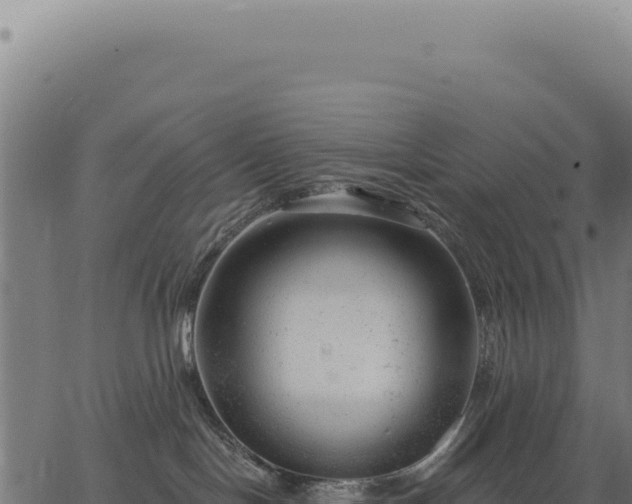 X0000063490094200601271731