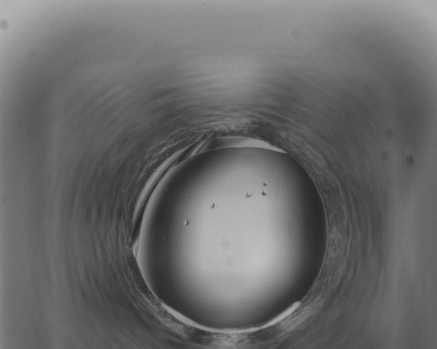 X0000063490096200601271731