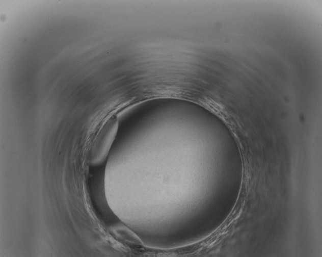 X0000063490097200601271730