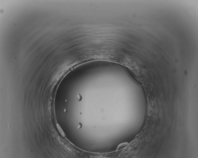 X0000063490098200601271730