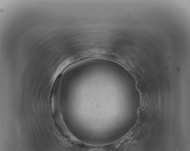 X0000063490099200601271730