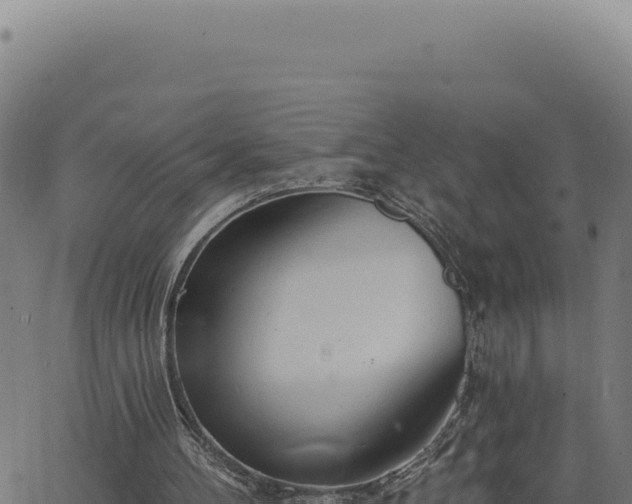 X0000063490100200601271730