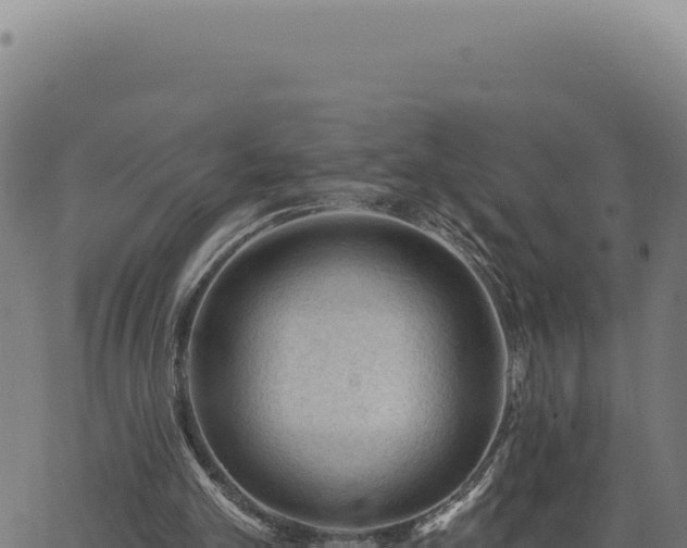 X0000063490101200601271730