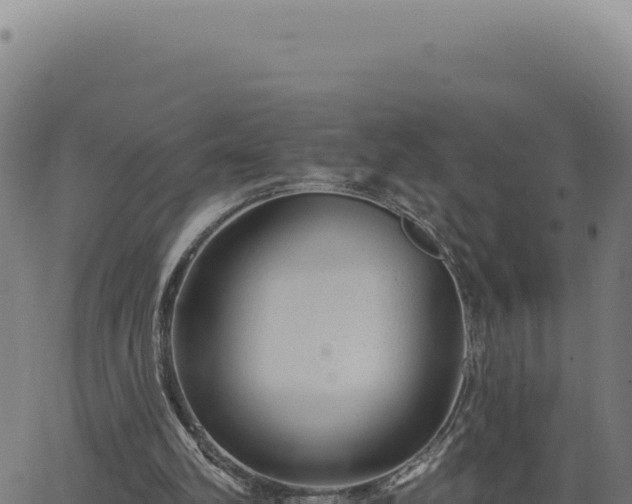 X0000063490102200601271730