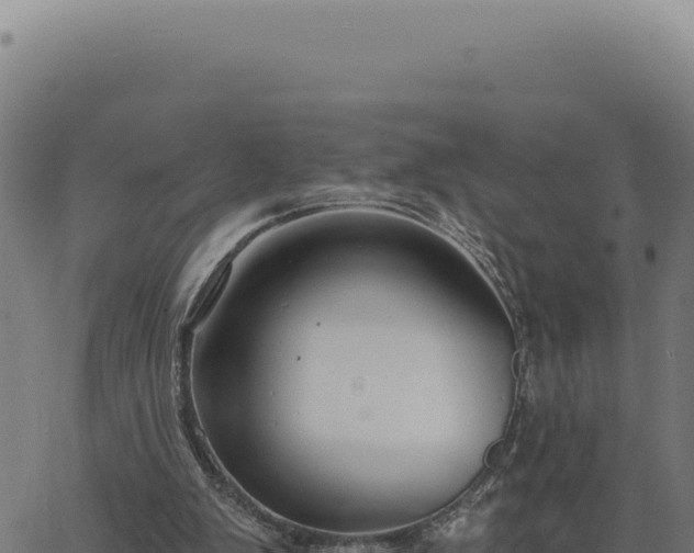 X0000063490103200601271730