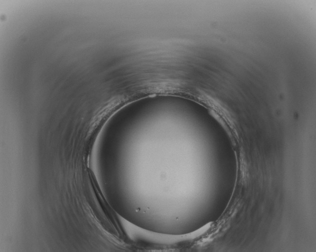 X0000063490105200601271730