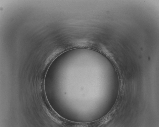 X0000063490106200601271730