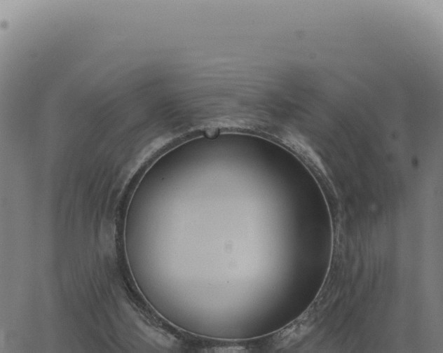 X0000063490108200601271730