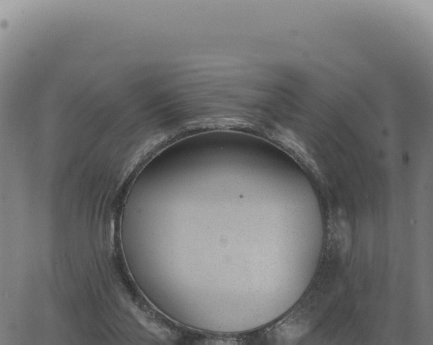 X0000063490110200601271730