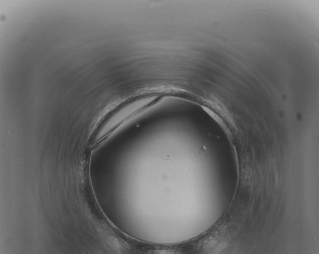 X0000063490111200601271730