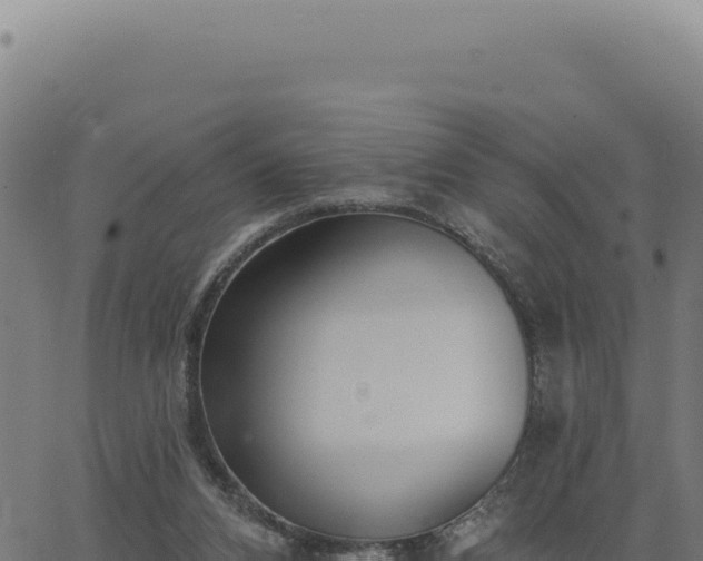 X0000063490112200601271730