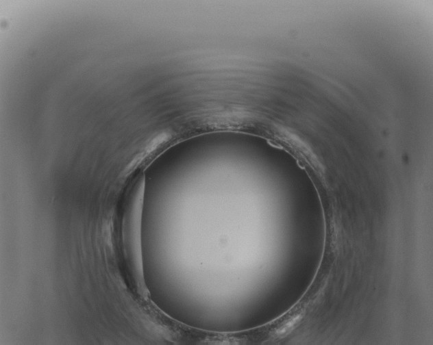 X0000063490113200601271730