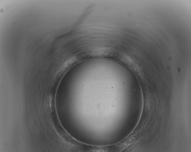 X0000063490115200601271730