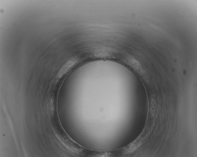 X0000063490116200601271730