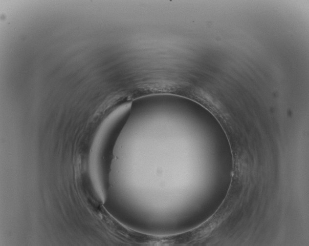 X0000063490117200601271730