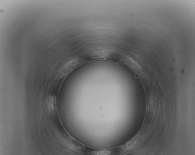 X0000063490122200601271730