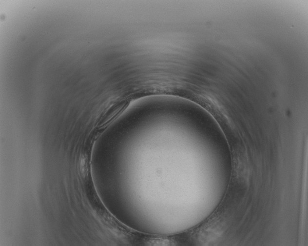 X0000063490123200601271730