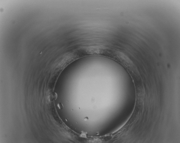 X0000063490125200601271729