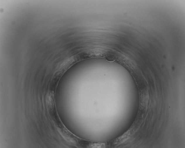 X0000063490126200601271729