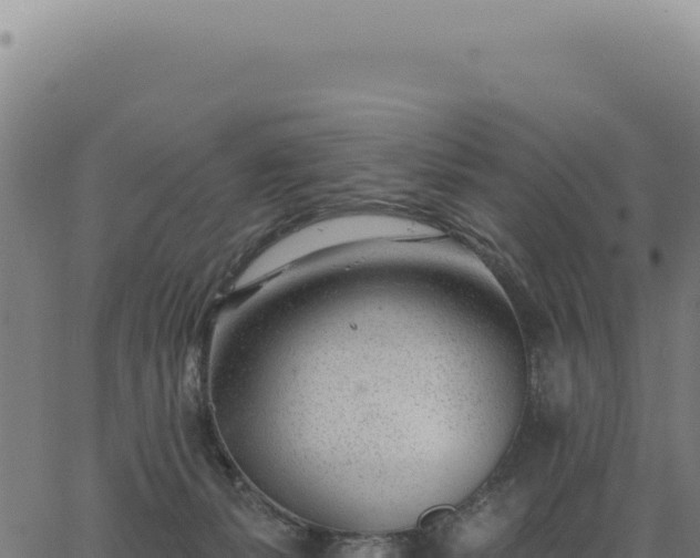 X0000063490127200601271729