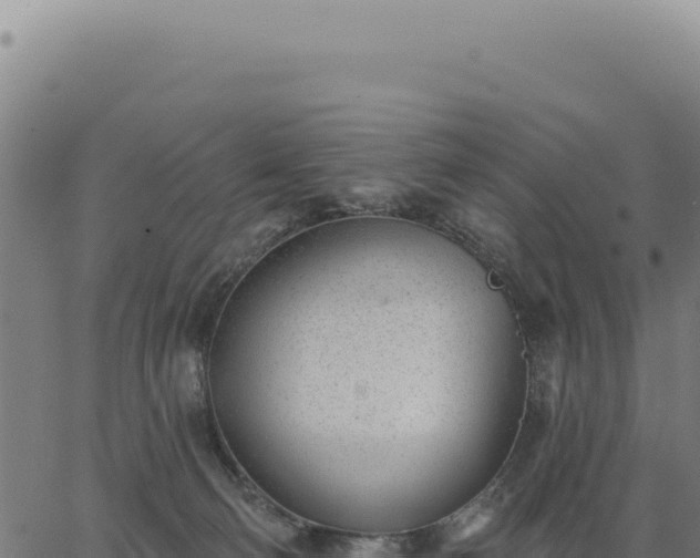 X0000063490130200601271729