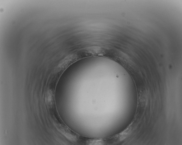 X0000063490132200601271729