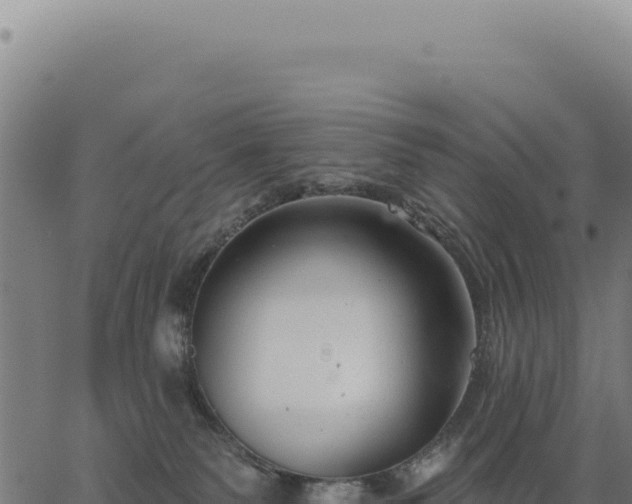 X0000063490135200601271729