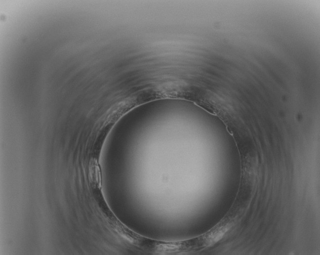 X0000063490139200601271729