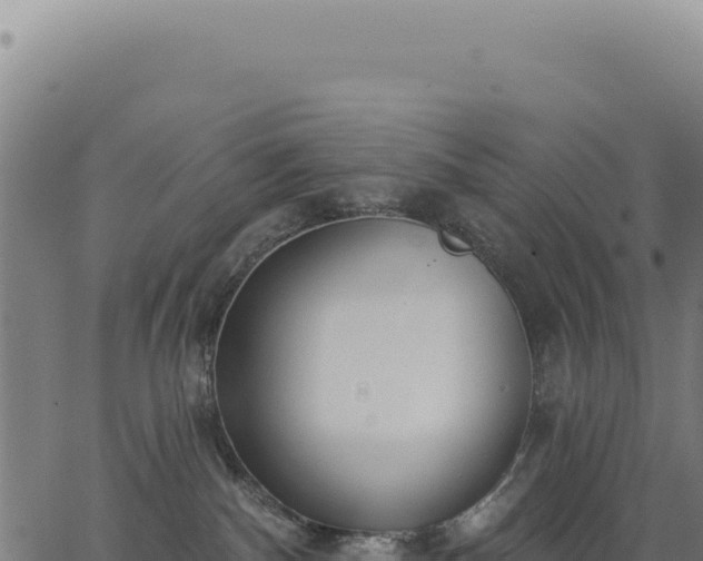 X0000063490140200601271729