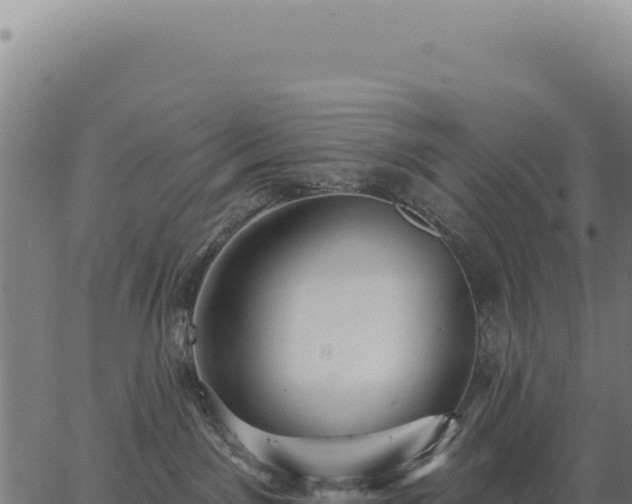 X0000063490141200601271729