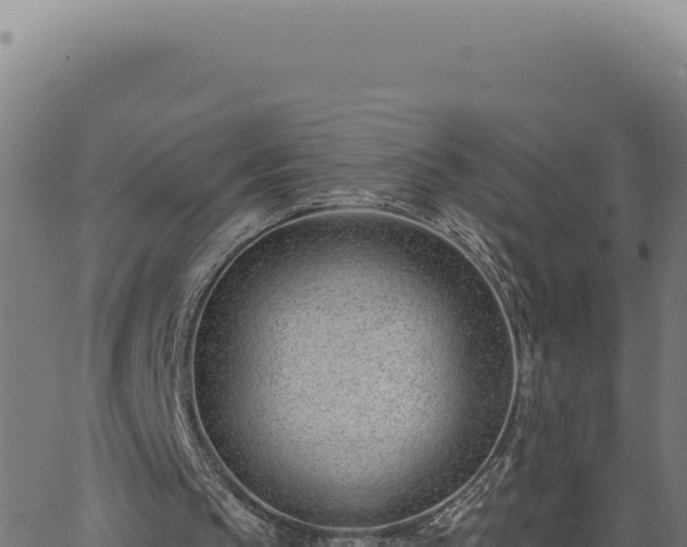 X0000063490145200601271728