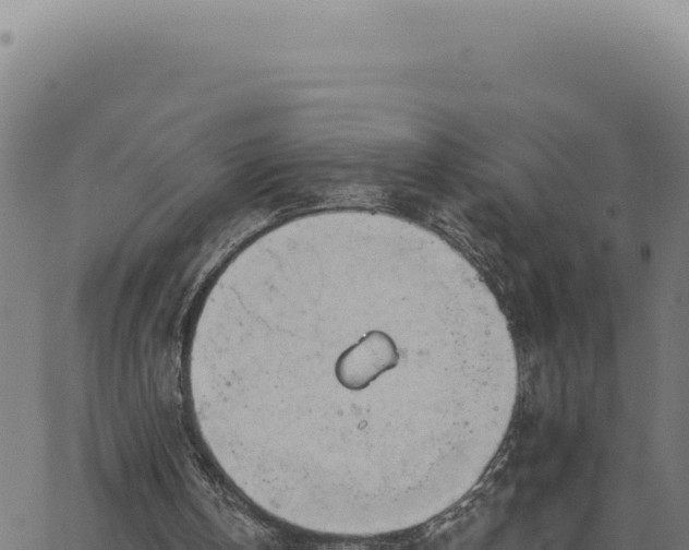 X0000063490146200601271728