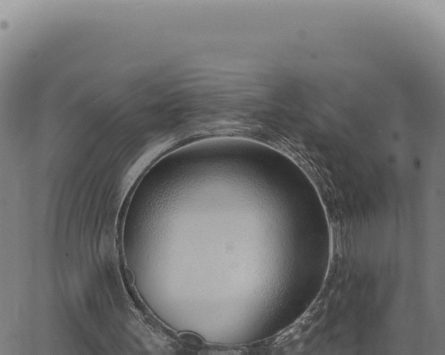 X0000063490147200601271728