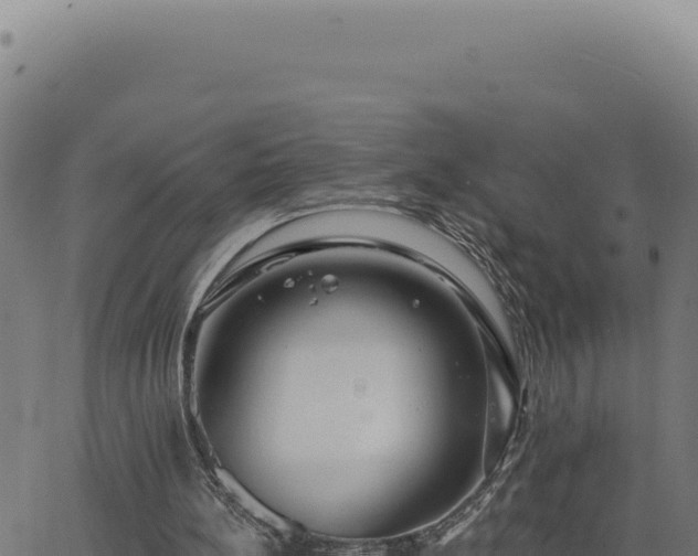 X0000063490148200601271728