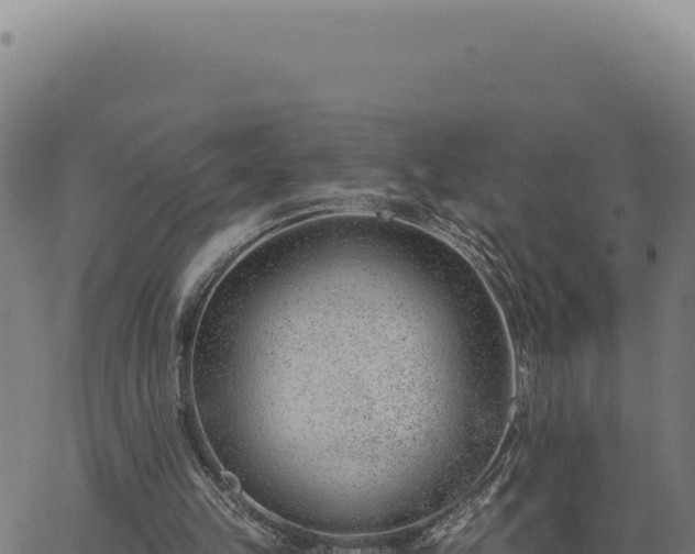 X0000063490149200601271728