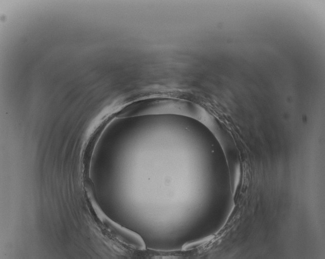 X0000063490150200601271728