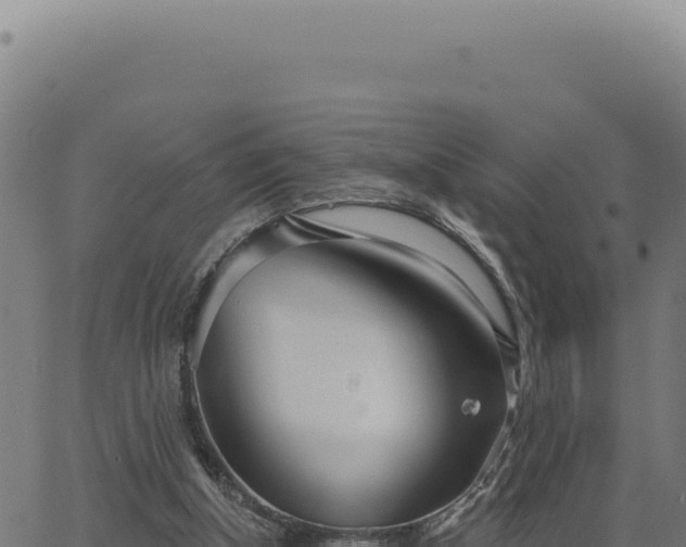 X0000063490154200601271729