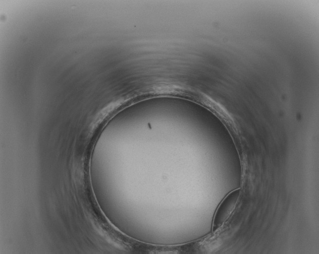 X0000063490155200601271729