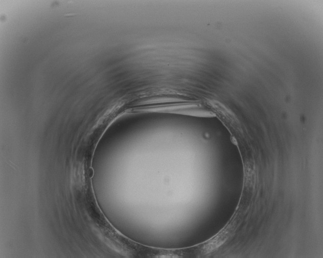 X0000063490158200601271729