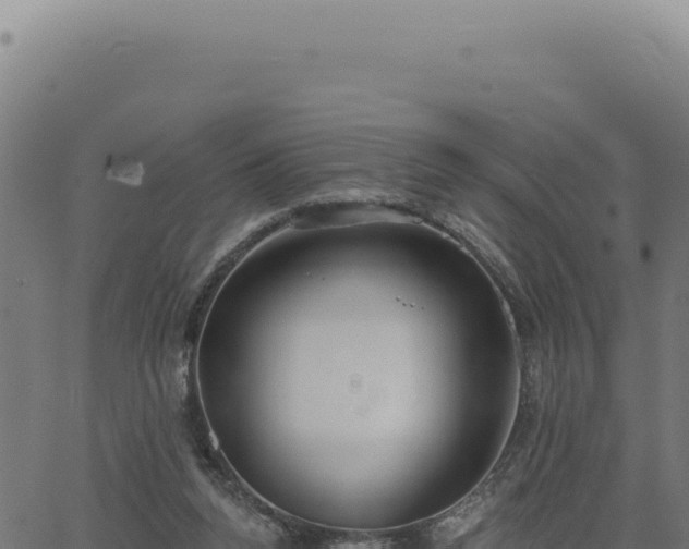 X0000063490160200601271729