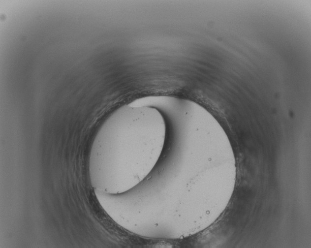 X0000063490162200601271729