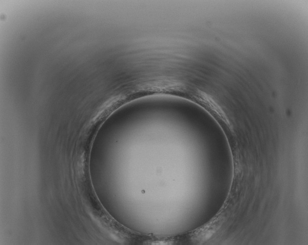 X0000063490163200601271729