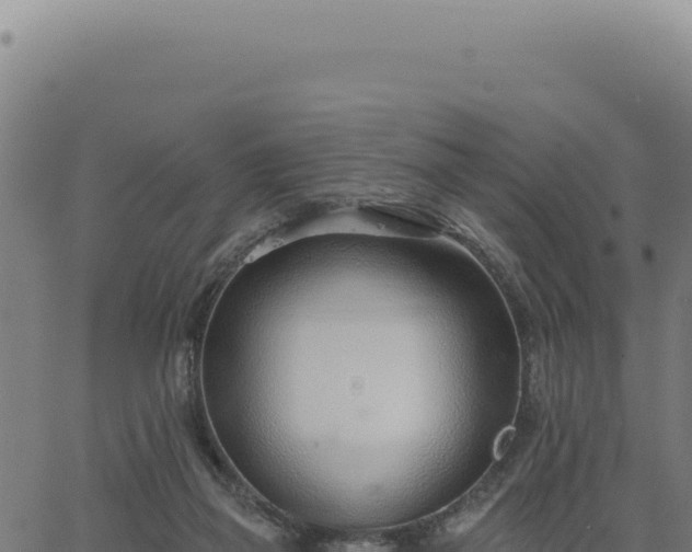 X0000063490165200601271729