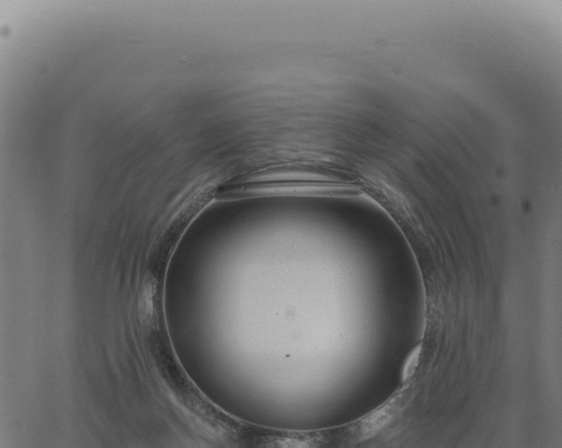 X0000063490166200601271729