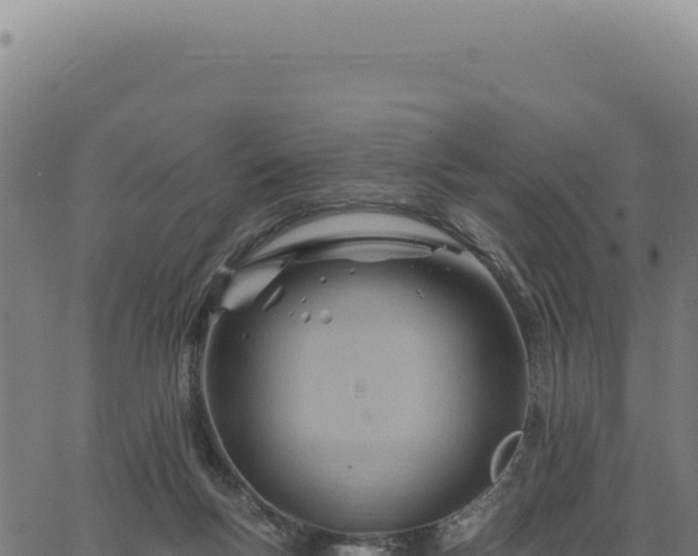 X0000063490167200601271729