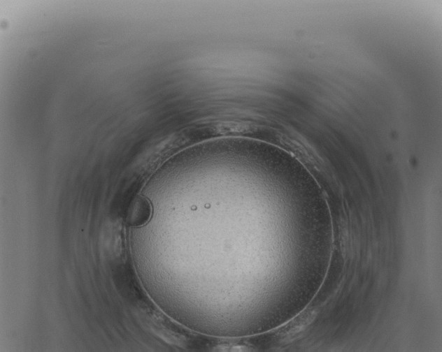 X0000063490169200601271729