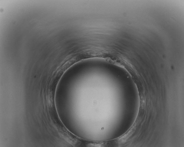 X0000063490170200601271729