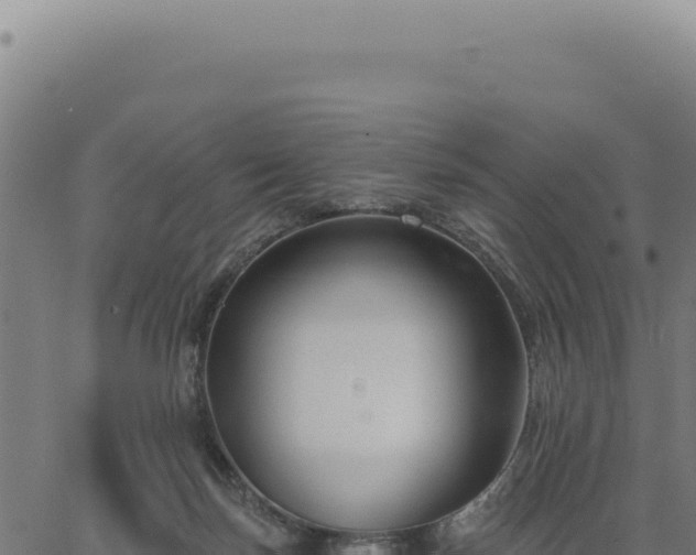 X0000063490171200601271729