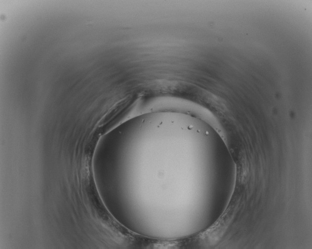 X0000063490172200601271729